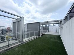 Sophia Residence (D9), Condominium #539281371